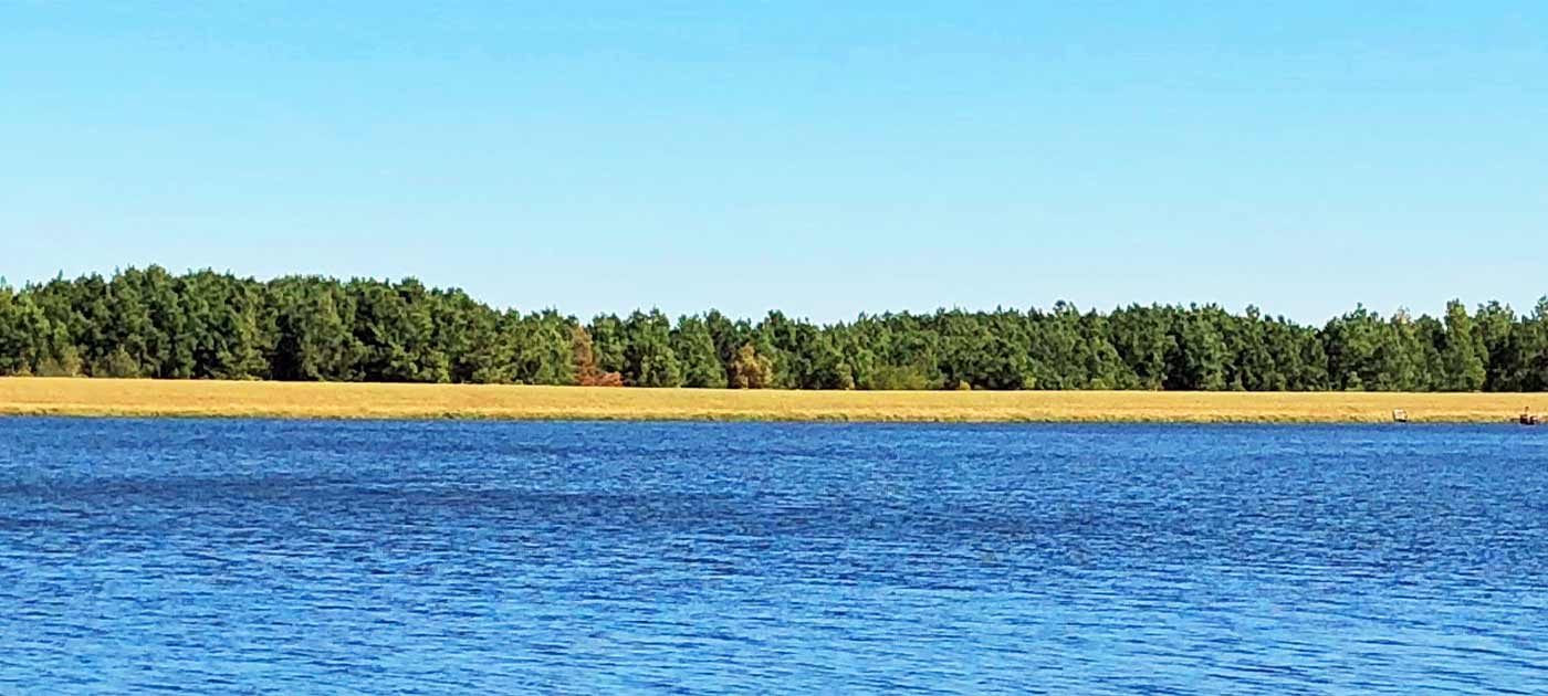 Caddo Lake